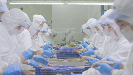 震撼重慶盤龍立交全景車流延時與食品添加劑生產的現代都市交響曲