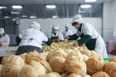 畢節七星關區 筑牢疫情防線，保障食品生產企業安全有序復工復產